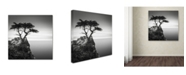 Trademark Global Dave MacVicar 'The Lone Cypress' Canvas Art - 18" x 18" x 2"